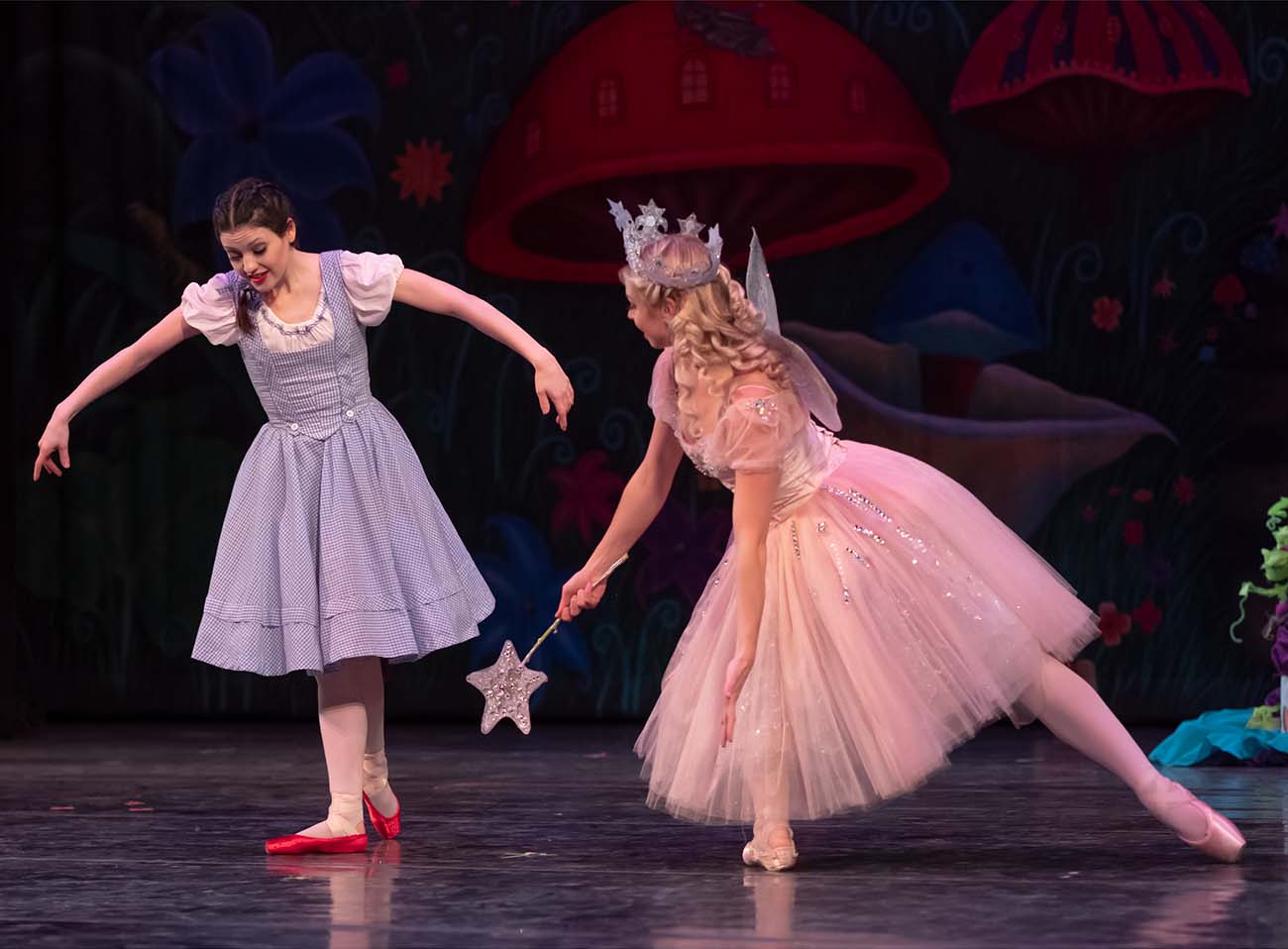 Every Role Is Special In The Wizard Of Oz American Midwest Ballet