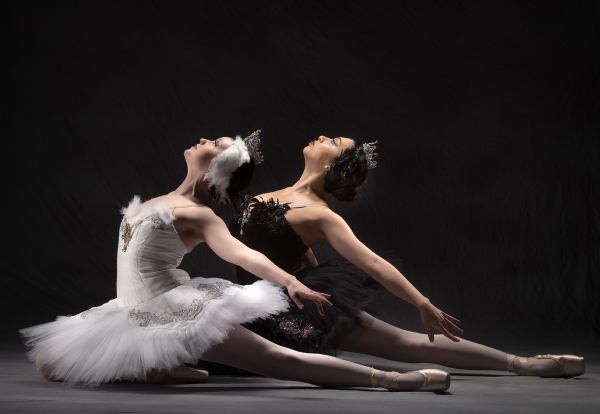 Kina narre beskæftigelse Ballet Nebraska's Swan Lake reveals the story behind the swans – American  Midwest Ballet